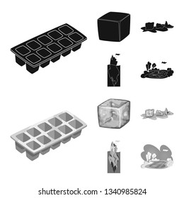 Vector illustration of texture  and frozen  icon. Set of texture  and transparent  stock symbol for web.