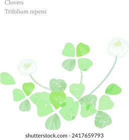 Vector illustration of textured clover leaves and flowers