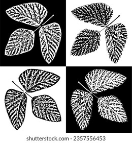 Vector illustration of textured leaves in black and white, positive and negative versions