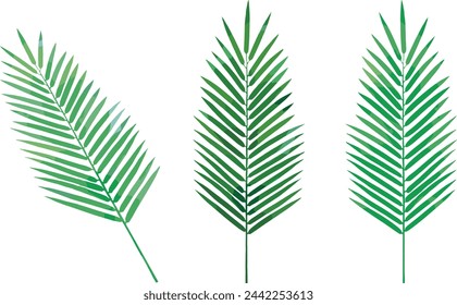 Vector illustration with textured palm leaves.