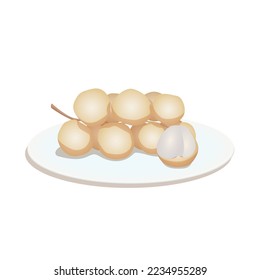 vector illustration, thai dishes, lansium