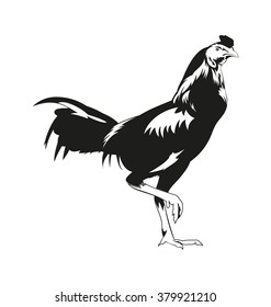Vector Illustration of  Thai fighting cock