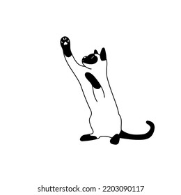 Vector illustration of a Thai kitten playing