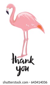 vector illustration of a thank you card with flamingo.