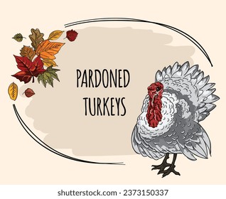 
Vector illustration, Thanksgiving card with fall leaves and turkey.