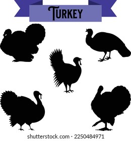 Vector illustration of a thanksgiving turkey.