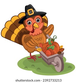 Vector illustration of thanksgiving turkey carrying a pumpkins in its wheelbarrow.