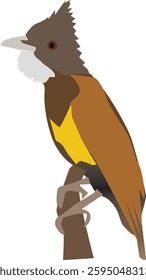 vector illustration that I made about brown bird with simple color