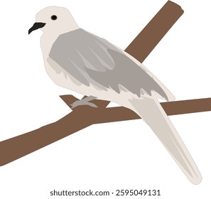 vector illustration that I made about turtle dove with simple colors and not so difficult pattern