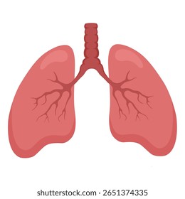 vector illustration of the theme of the respiratory organs of the lungs