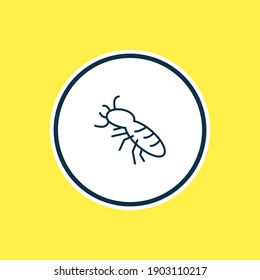 Vector illustration of thermit icon line. Beautiful animals element also can be used as termite icon element.