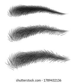 Vector illustration of thick natural eyebrows for men and women