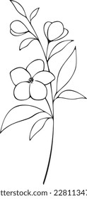 Vector illustration of a thin branch with blooming flowers and leaves. Outline black drawing in doodle style. Drawn by hand. For holiday, decoration and design.