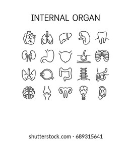 Vector illustration of thin line icons for Internal Organ symbols set 64*64 pixels