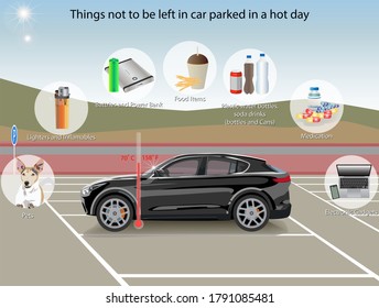 Vector Illustration of things that should not be left inside car parked in direct sunlight