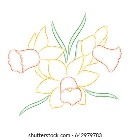 Vector illustration. Three beautiful narcissus painted strokes and dots.