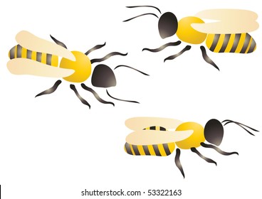 Vector illustration of three bees or wasps on a white background