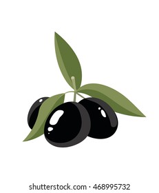 vector illustration of three black Olives with leafs isolate on light background. Pictures for your personal design project.