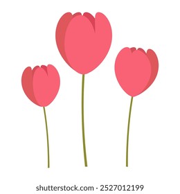 Vector illustration of three blooming pink tulips, perfect for floral, nature, and spring-themed projects.