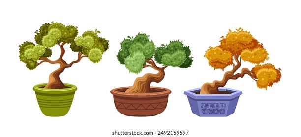 Vector Illustration Of Three Bonsai Trees In Various Pots. The Trees Display Diverse Shapes, Colors, And Designs