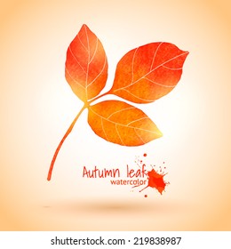 vector illustration of three bright autumn aspen leaves