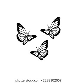 vector illustration of three butterflies