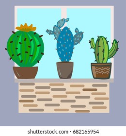 Vector illustration of three cactus succulents in pots on window