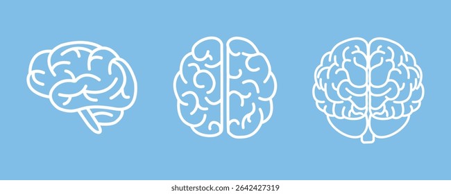 Vector illustration of three cartoon brain icons in side, top, and back views on blue background. Simple white line design for education or medical use.