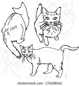 Vector illustration of three cats painted lines