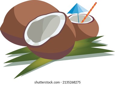 Vector illustration of three coconuts: whole, halved and chopped with straw and umbrella
