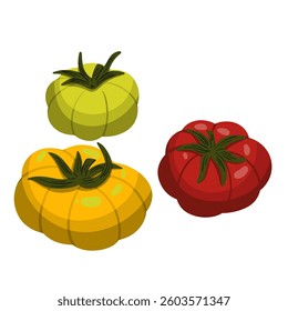 Vector Illustration of Three Colorful Tomatoes
