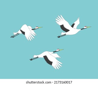 Vector illustration of three cranes flying.