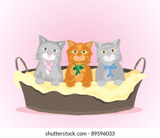vector illustration of three cute kittens in a basket in eps 10 format with gradients