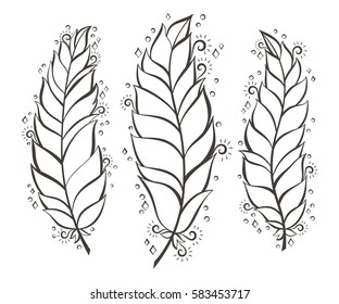 Vector illustration: three decorative bird feather silhouettes isolated on white background.