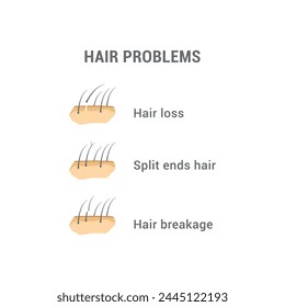 vector illustration of three designs for hair problems, hair loss, split ends, broken hair.