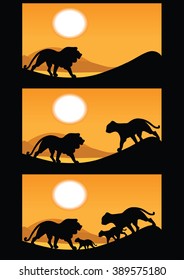 Vector illustration three frame of lion and lioness with cubs on sunset or sunrise background
