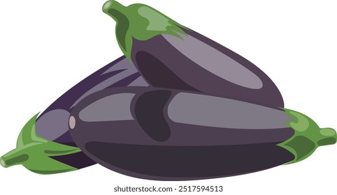 Ilustración vectorial de tres berenjenas frescas