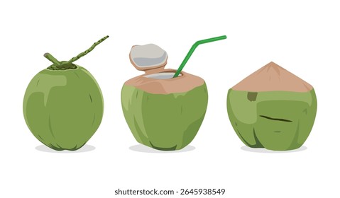Vector illustration of three fresh young coconuts in different styles whole, cut open with straw, and peeled. Perfect for tropical drink, summer concept, exotic fruit, and healthy lifestyle themes.