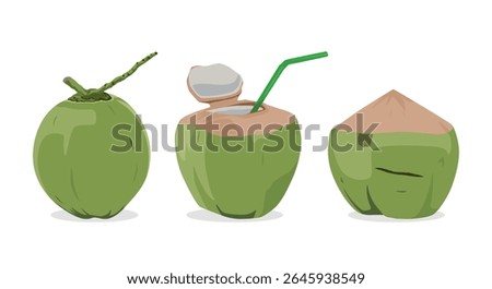 Vector illustration of three fresh young coconuts in different styles whole, cut open with straw, and peeled. Perfect for tropical drink, summer concept, exotic fruit, and healthy lifestyle themes.