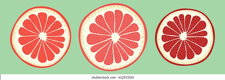 Vector illustration of three grapefruits.