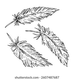 Ilustração vetorial de penas desenhadas à mão em estilo de linha de tinta. Ótimo para projetos com temas tribais, casamentos boho, marca rústica, acessórios étnicos, têxteis, impressões de natureza e decoração de festa.