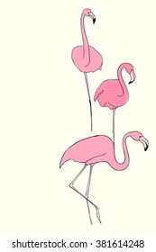 Vector illustration of three hand drawn graceful flamingos. Beautiful ink drawing.