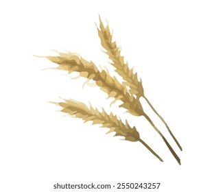 Vector illustration with three hand-drawn spikelets.