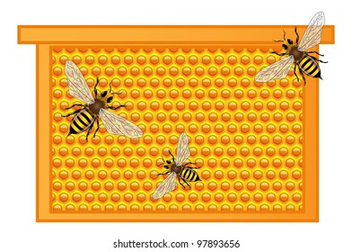 The vector illustration of the three honeybees  working on the honeycombs, cartoon.