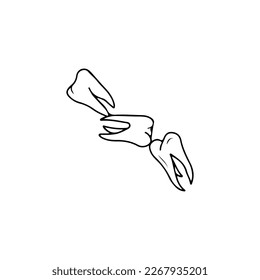 vector illustration of three human teeth concept