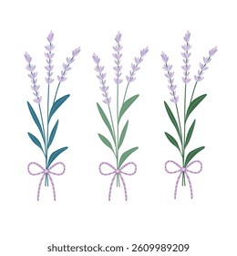 Ilustração vetorial de três ramos de lavanda com uma fita lilás fina e violeta listrada, design de buquê floral pastel para cartão de saudação, etiqueta de aromaterapia, casamento ou presente 

