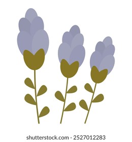Vector illustration of three lavender flowers with green stems, ideal for floral, herbal, and nature-themed designs.