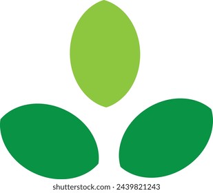 Vector illustration of three leaves of different colors representing good luck