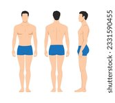 Vector illustration of three men in underwear on the white background. Vector cartoon realistic people illustartion. Flat young man. Front view man, Side view man, Back side view man