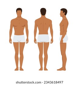 Vector illustration of three men in underwear on the white background. Vector cartoon realistic people illustartion. Flat young man. Front view man, Side view man, Back side view man